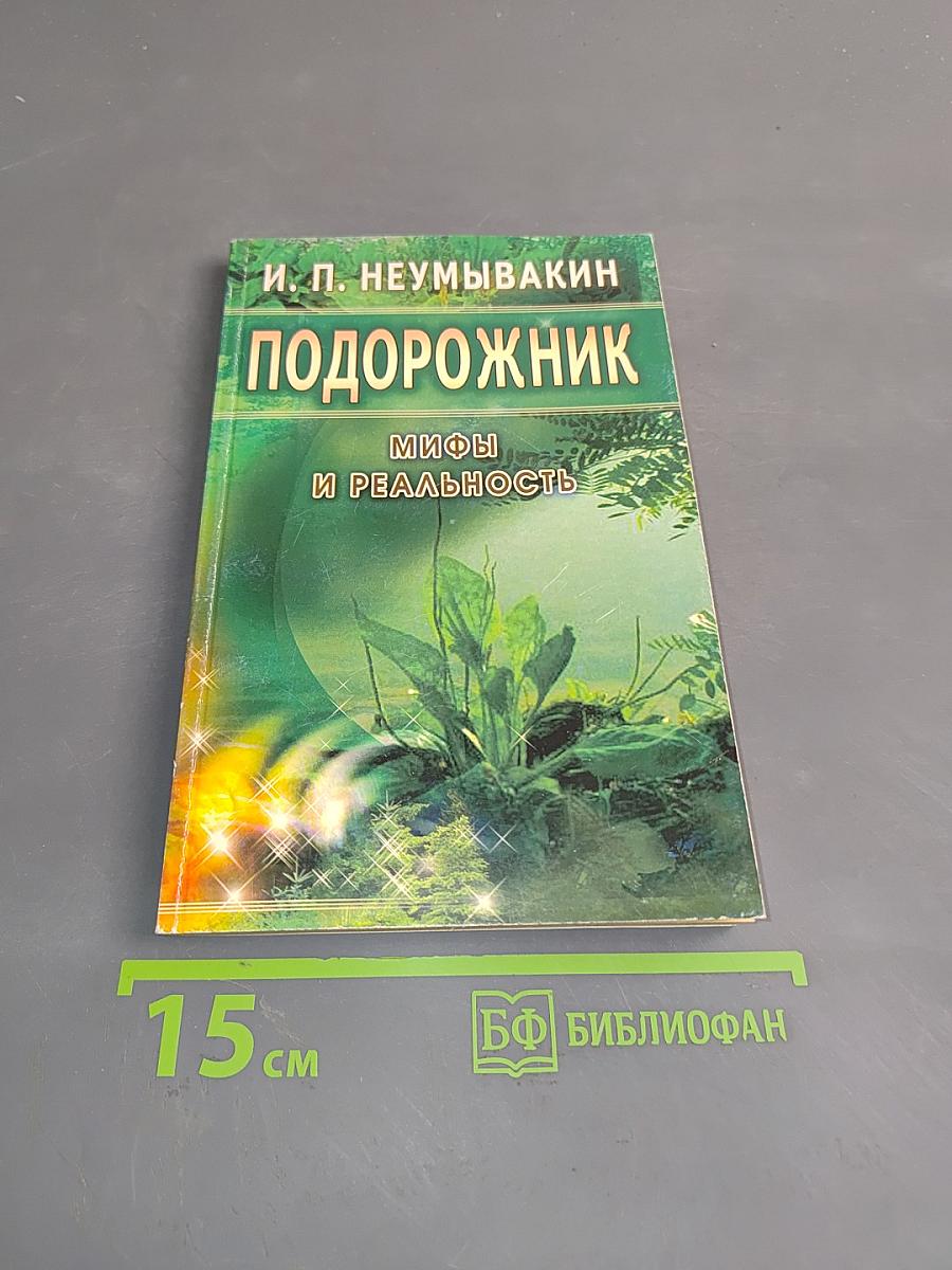 Подорожник: Мифы и реальность
