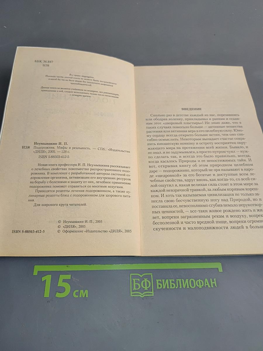 Подорожник: Мифы и реальность