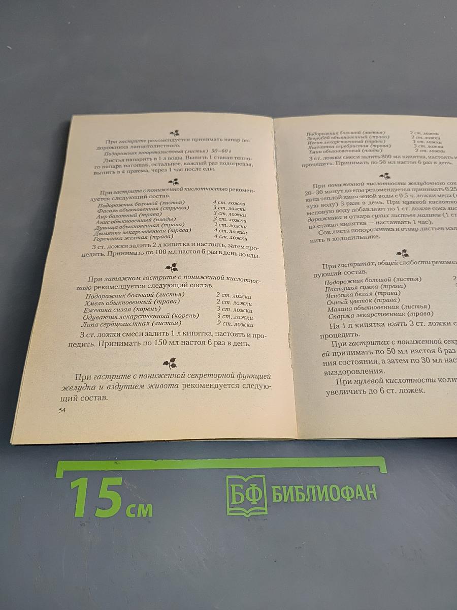 Подорожник: Мифы и реальность