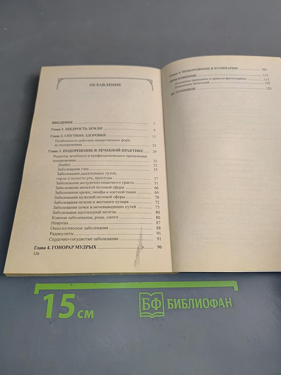 Подорожник: Мифы и реальность
