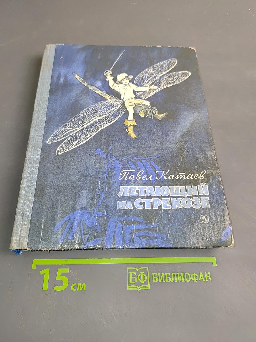 Летающий на стрекозе