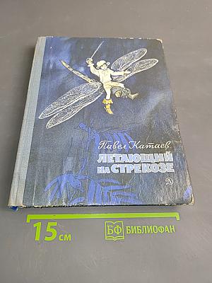 Летающий на стрекозе