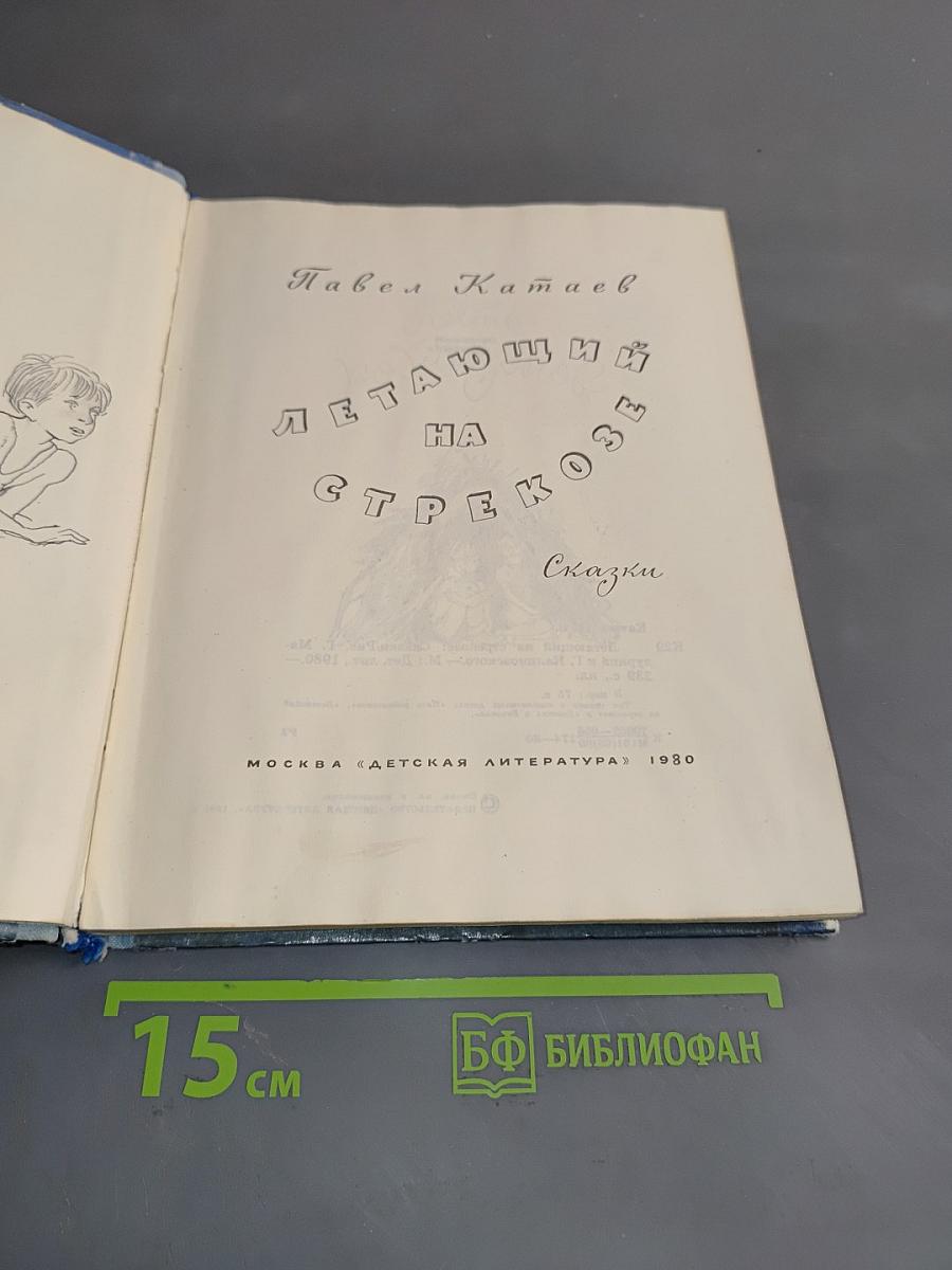 Летающий на стрекозе
