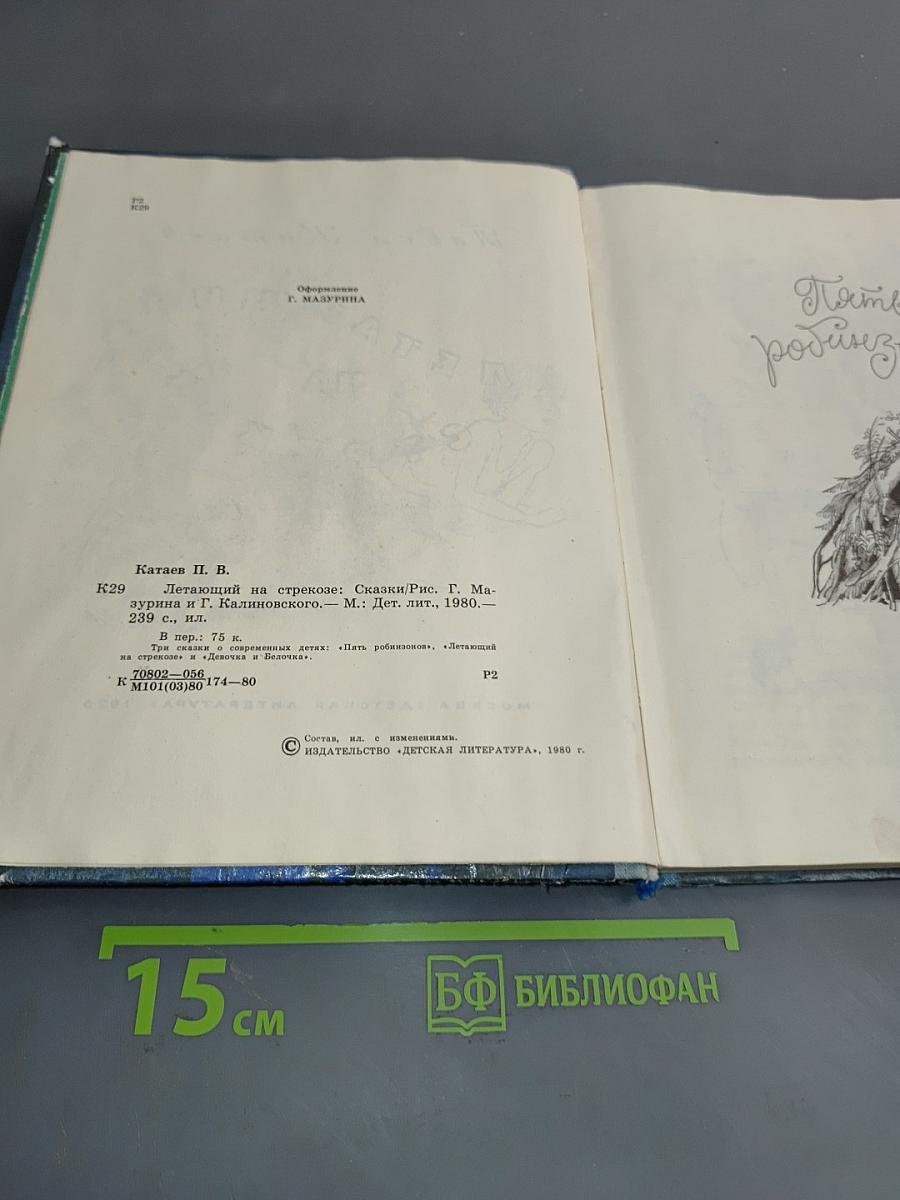 Летающий на стрекозе