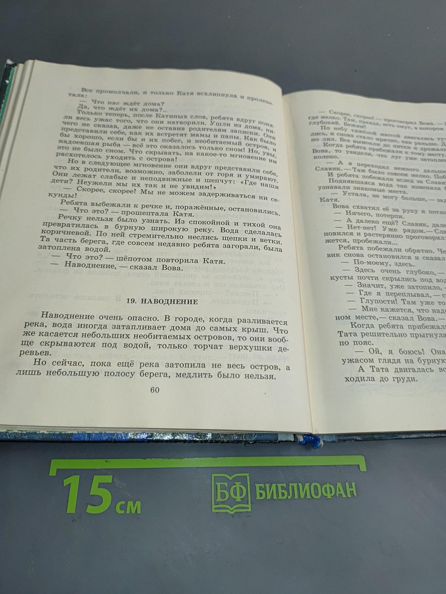 Летающий на стрекозе