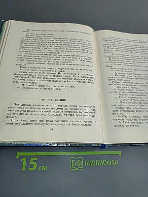 Летающий на стрекозе
