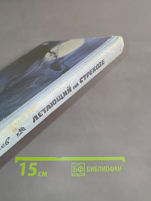 Летающий на стрекозе