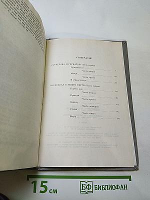 Анжелика и Рескатор. Анжелика в Новом Свете. Книга 5