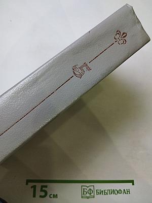 Анжелика и Рескатор. Анжелика в Новом Свете. Книга 5