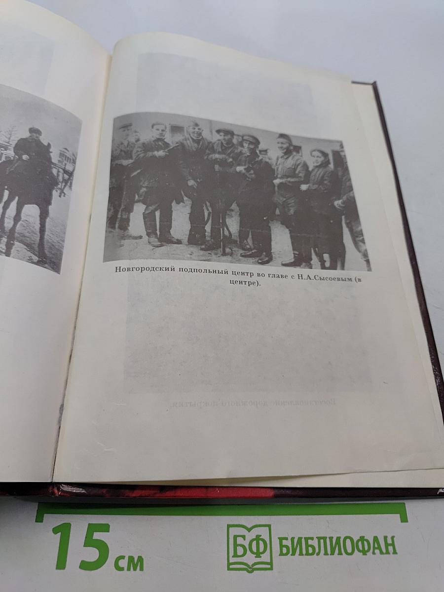 Ленинград в борьбе: месяц за месяцем 1941-1944