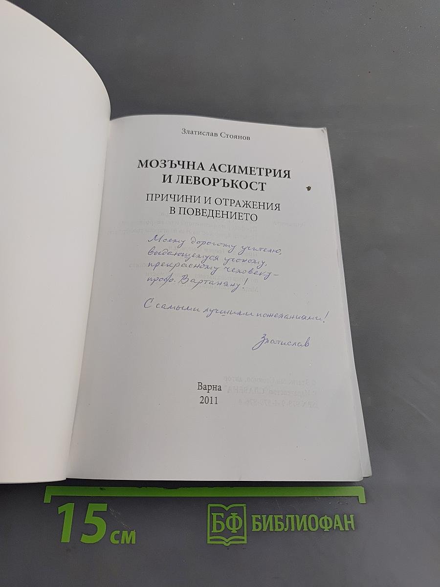 Мозъчна асиметрия и леворъккост: причини и отражения в поведението