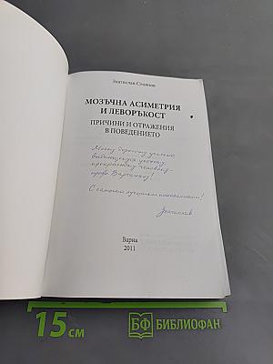 Мозъчна асиметрия и леворъккост: причини и отражения в поведението