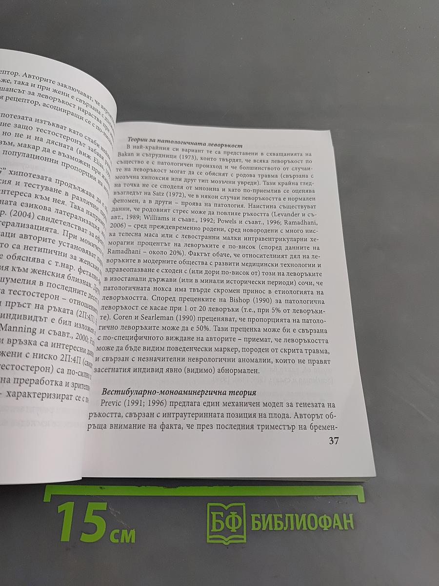 Мозъчна асиметрия и леворъккост: причини и отражения в поведението