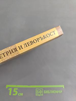 Мозъчна асиметрия и леворъккост: причини и отражения в поведението