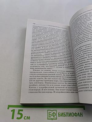 Оздоровление по Б. В. Болотову: 5 правил здоровья от основоположника медицины будущего