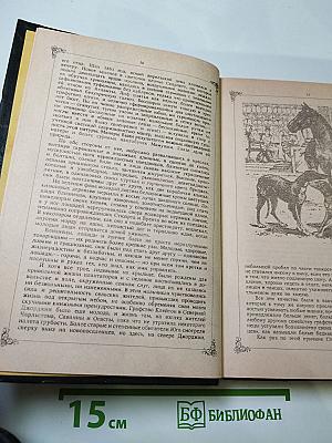 Унесенные ветром. Том I