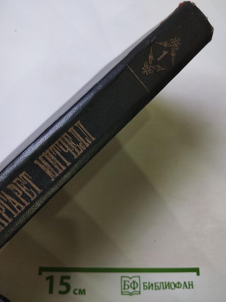 Унесенные ветром. Том I