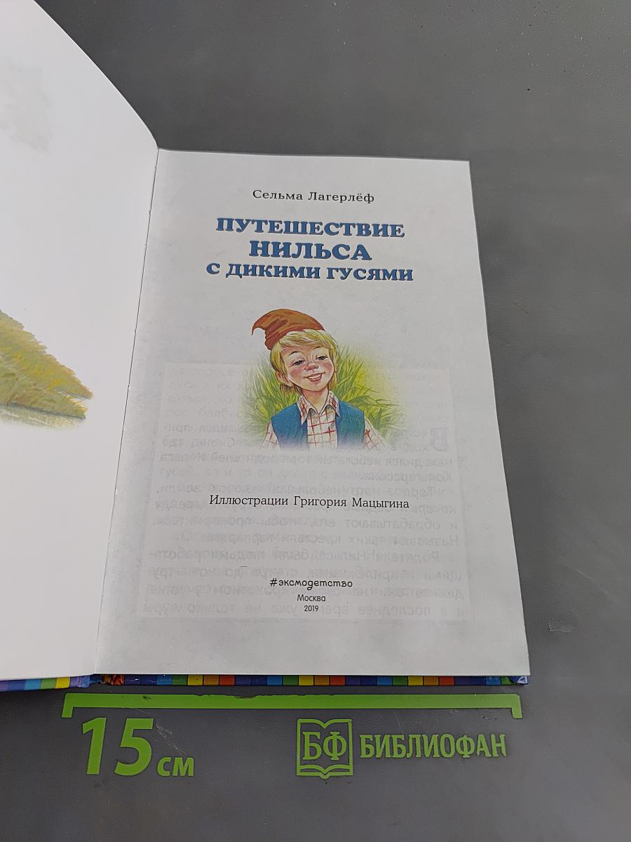 Путешествие Нильса с дикими гусями