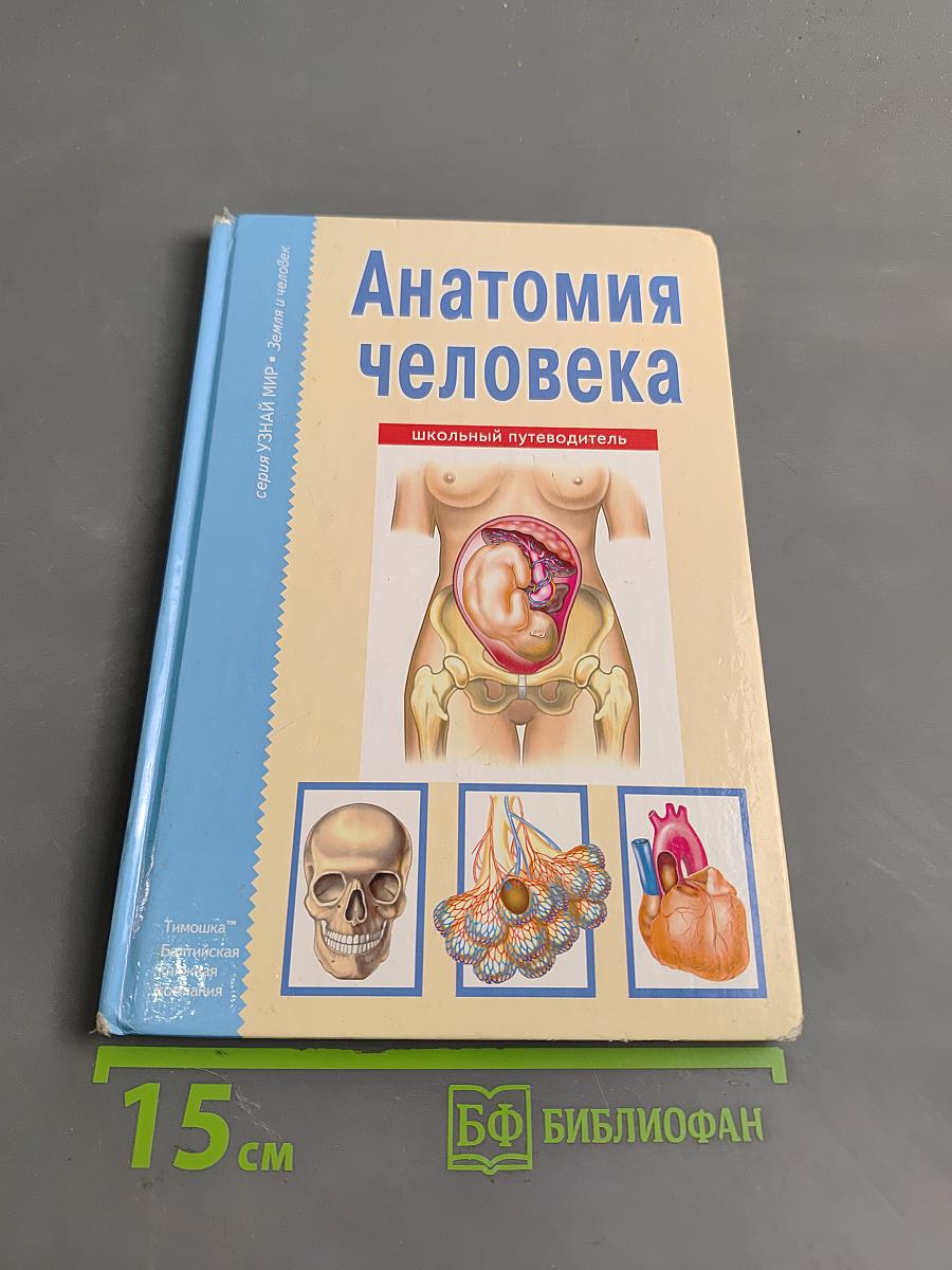 Анатомия человека. Школьный путеводитель