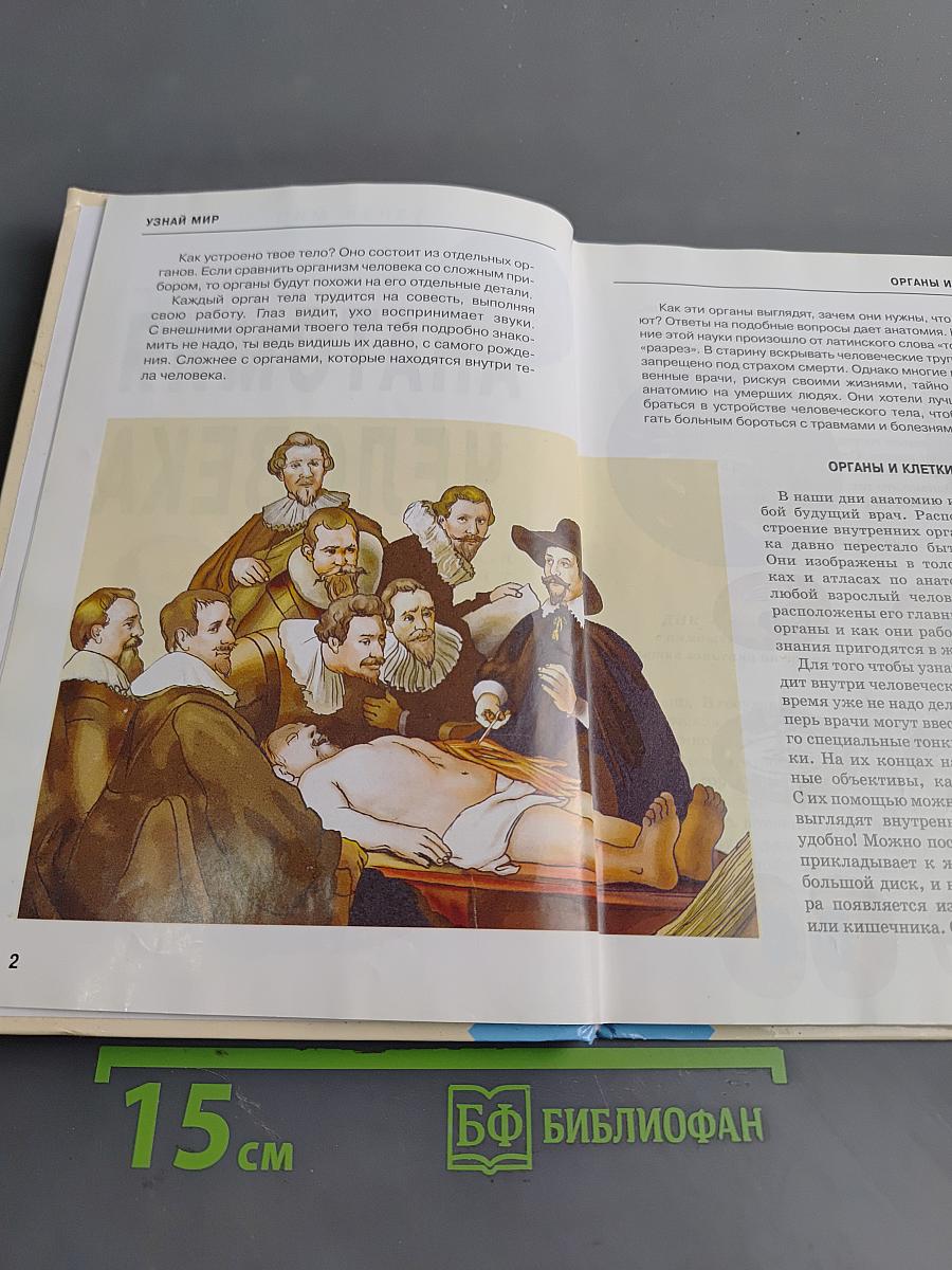 Анатомия человека. Школьный путеводитель
