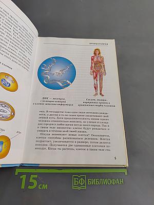 Анатомия человека. Школьный путеводитель