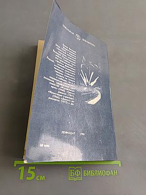 Третья ракета. Дожить до рассвета