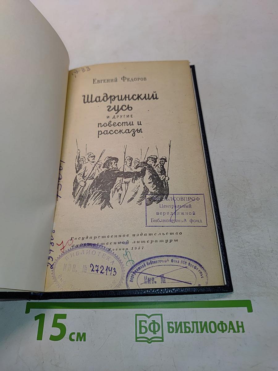 Шадринский гусь и другие повести и рассказы