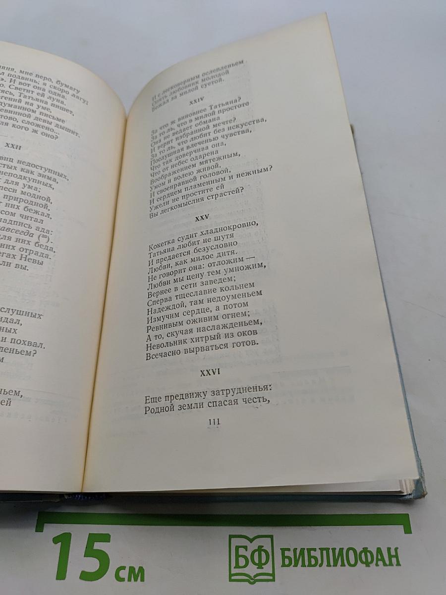 Евгений Онегин