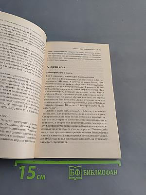 Практика хатха-йоги: Ученик среди учителей