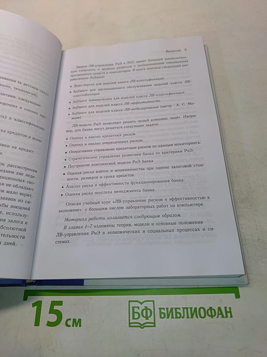 Управление риском и эффективностью в экономике