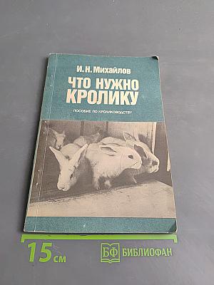Что нужно кролику