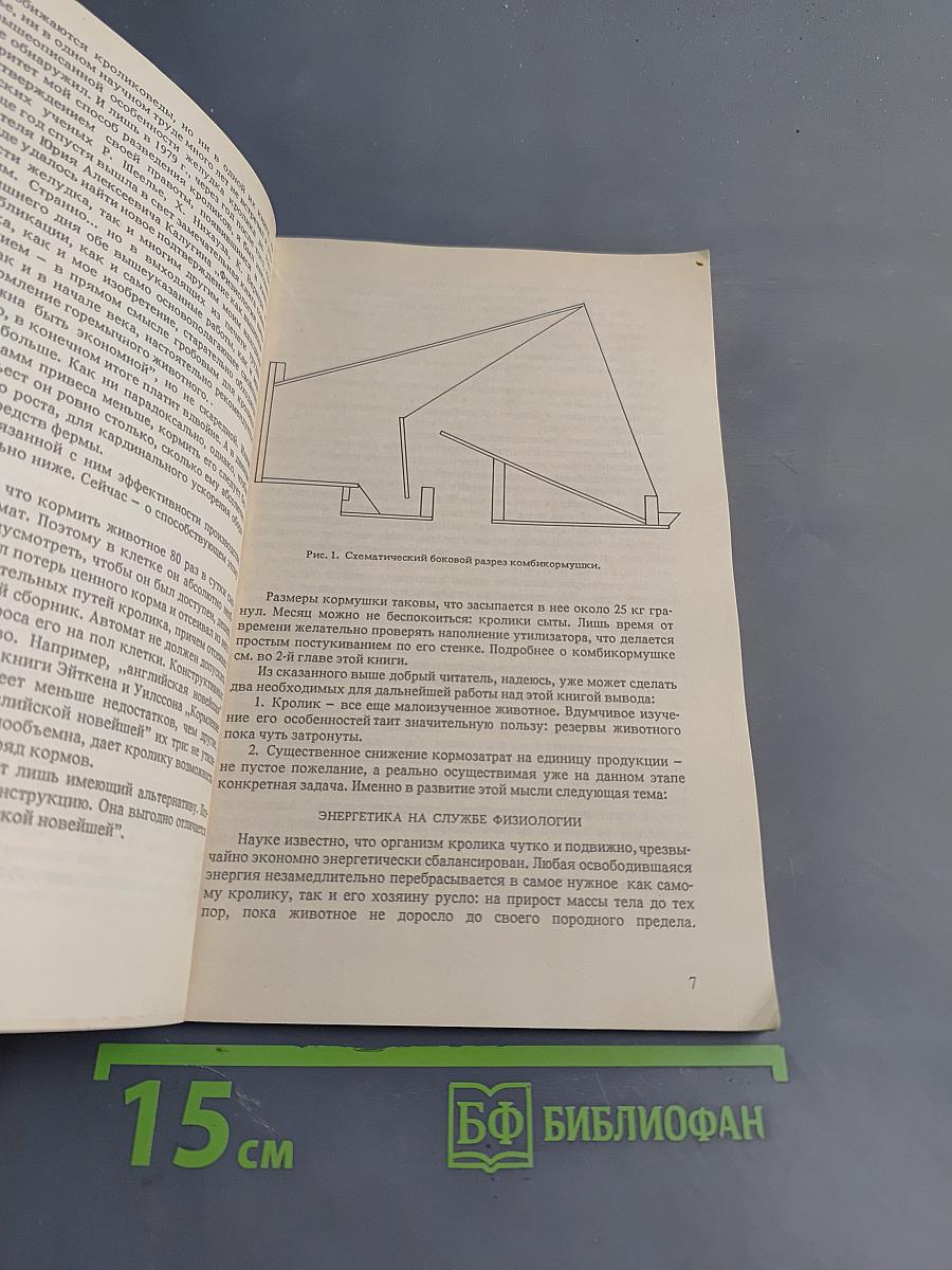 Что нужно кролику