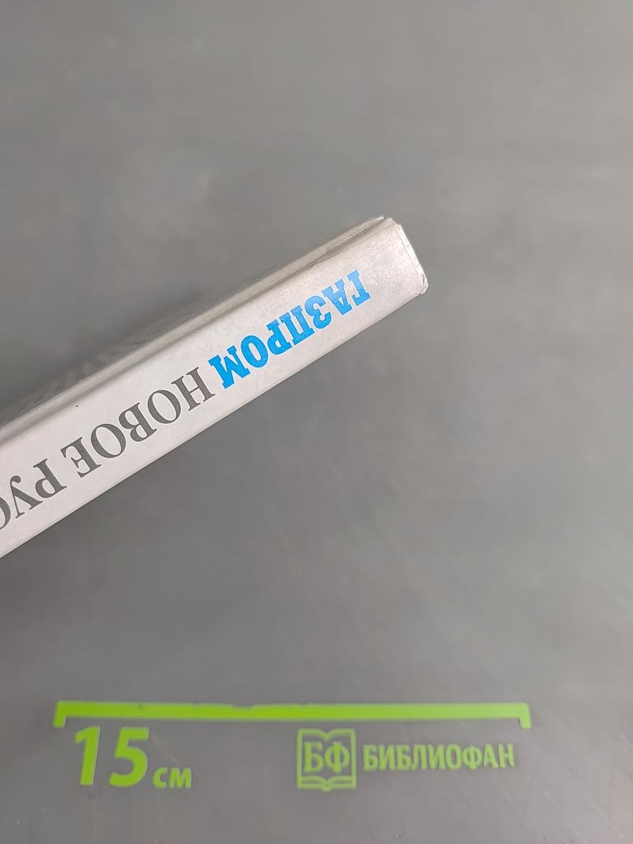 Газпром. Новое русское оружие