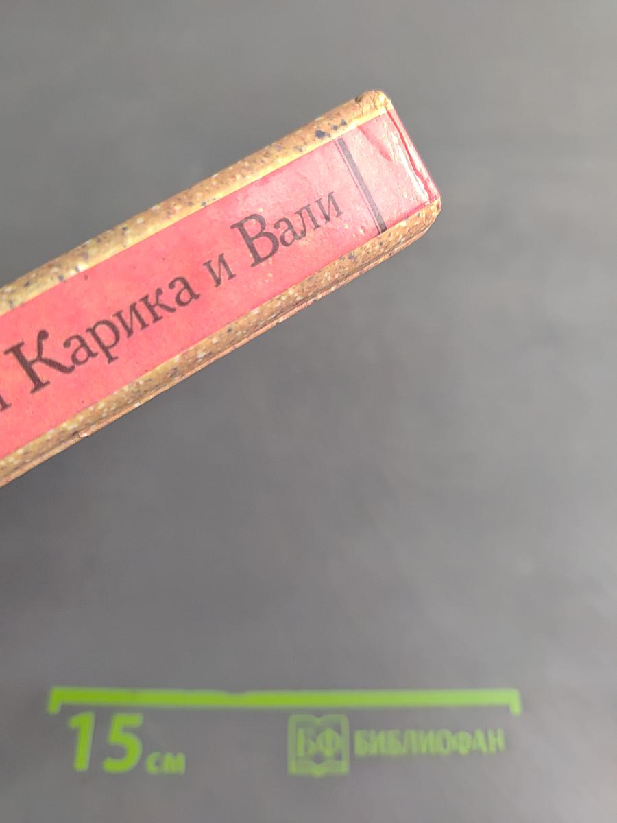 Необыкновенные приключения Карика и Вали