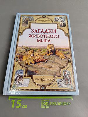 Загадки животного мира
