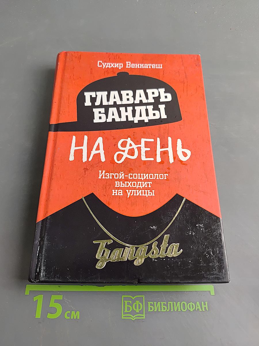 Главарь банды на день. Изгой-социолог выходит на улицы