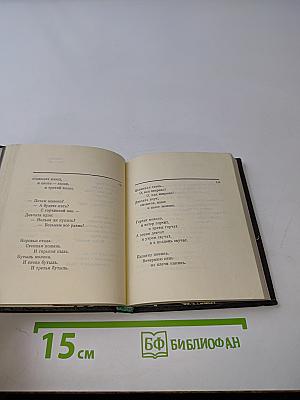 Гвоздики под ливнями. Избранные стихи