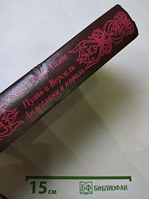 Анжелика. Путь в Версаль. Анжелика и король