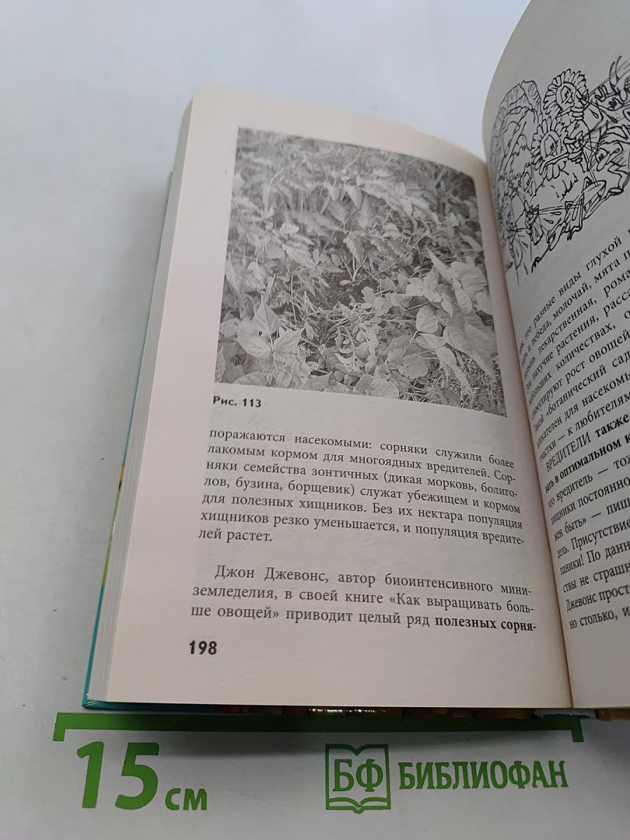 Секреты урожайной теплицы