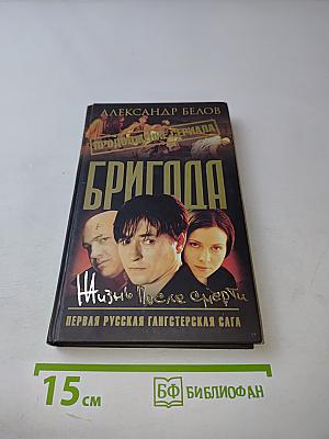 Бригада. Жизнь после смерти. Книга 9