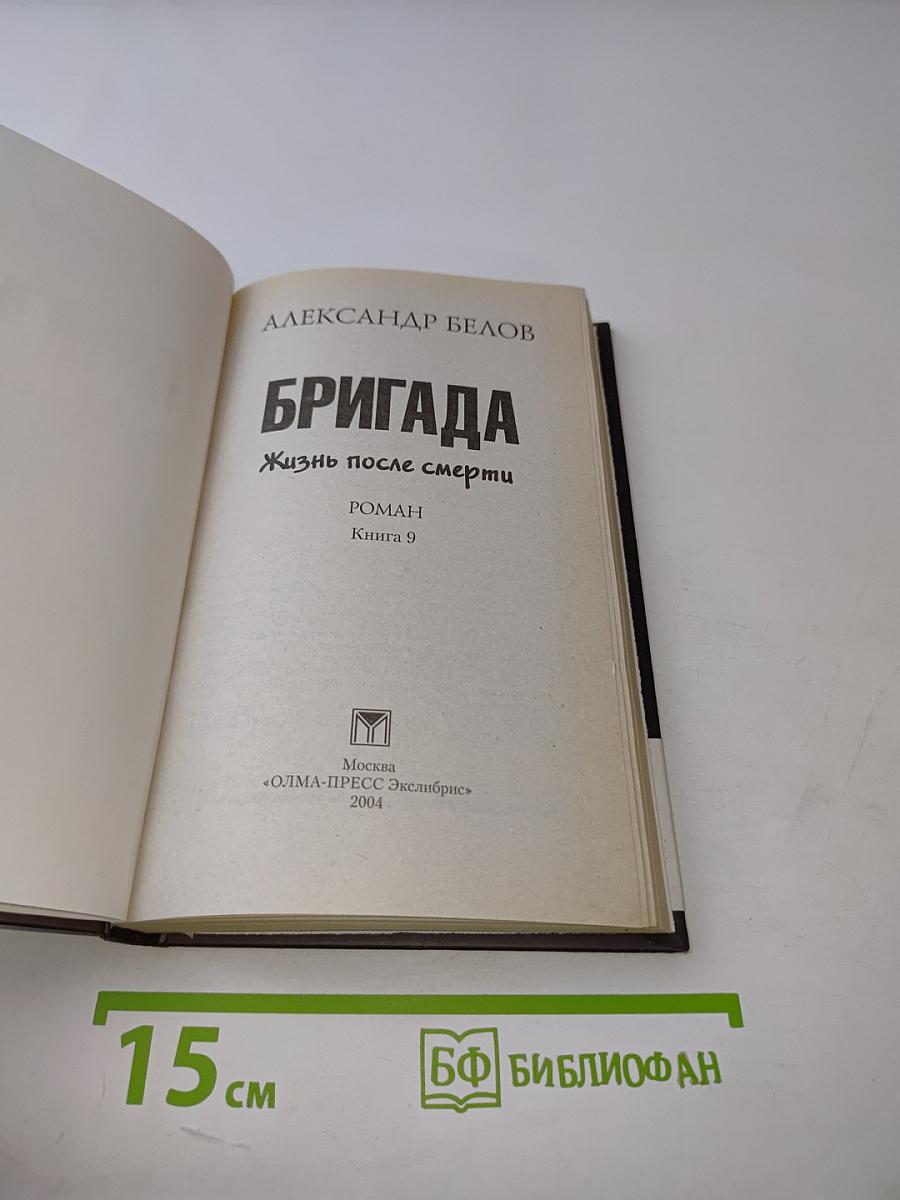 Бригада. Жизнь после смерти. Книга 9