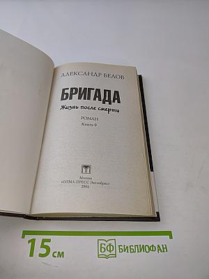 Бригада. Жизнь после смерти. Книга 9