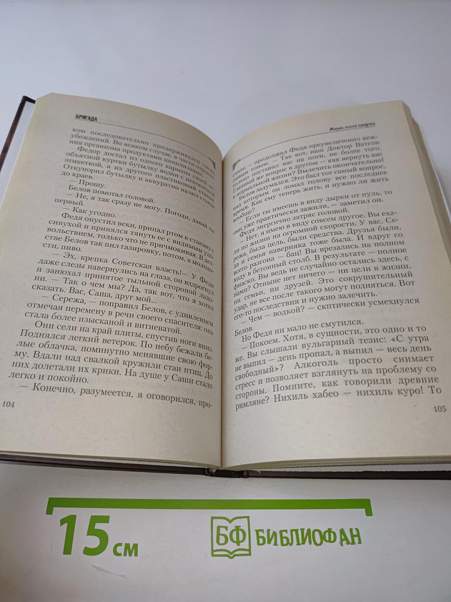 Бригада. Жизнь после смерти. Книга 9
