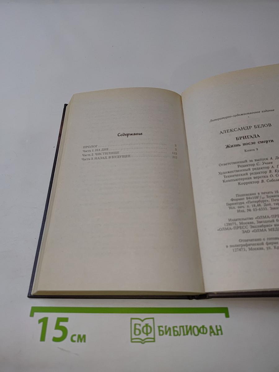 Бригада. Жизнь после смерти. Книга 9