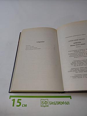 Бригада. Жизнь после смерти. Книга 9