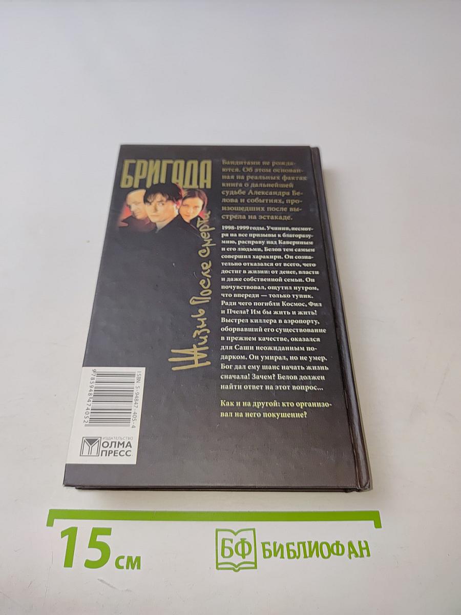 Бригада. Жизнь после смерти. Книга 9