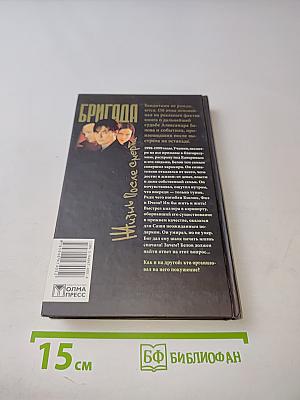 Бригада. Жизнь после смерти. Книга 9