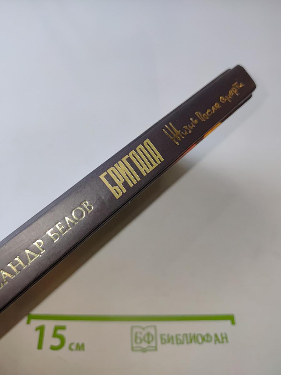 Бригада. Жизнь после смерти. Книга 9