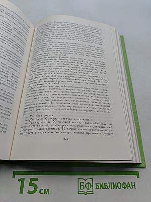 Библиотека мировой литературы для детей. Том 41. Легенда об Уленшпигеле и Ламме Гудзаке и их приключениях, отражающих старинных и югославянских во Фландрии и иных странах