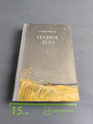 Трудное лето